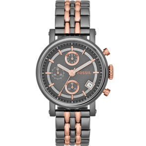 Watch strap Fossil ES3386 Stainless steel Multicolor 18mm